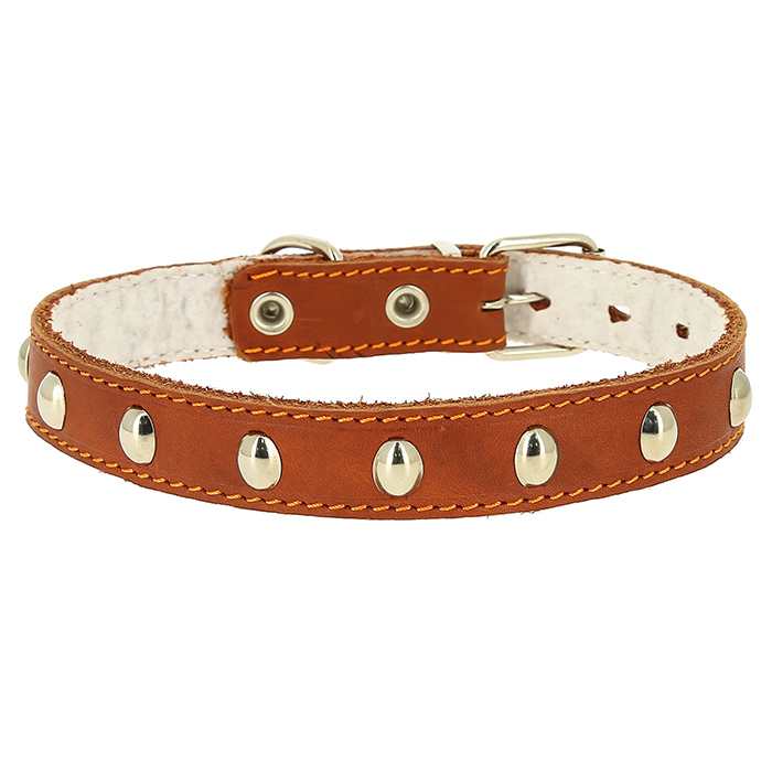 6a9000f1-7c1a-11e6-80c6-9457a5b4ce59_50793ea1-06d8-11eb-8107-9457a5b4ce59